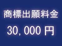 商標登録の費用料金|中川特許事務所|東京・神奈川・藤沢の商標・ブランドについて商標登録をするための特許庁への手続の代行、商標権に関する商標調査、商標管理、契約仲介、紛争解決、輸入差止を代行する神奈川県横浜市の弁理士事務所